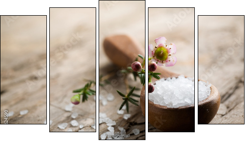 Bath salt - Fünfteiliges Leinwandbild, Pentaptychon