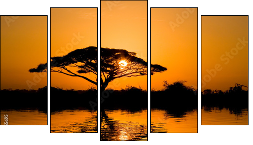 acacia tree at sunrise - Fünfteiliges Leinwandbild, Pentaptychon