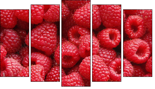 Sweet raspberry - Fünfteiliges Leinwandbild, Pentaptychon
