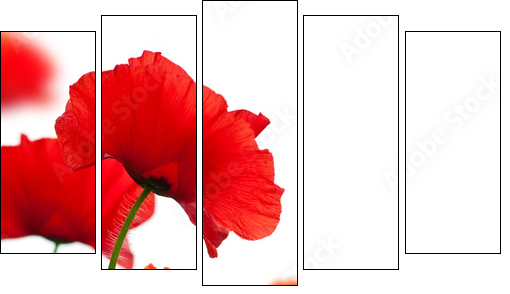 poppies isolated on white background- border angle of page - Fünfteiliges Leinwandbild, Pentaptychon