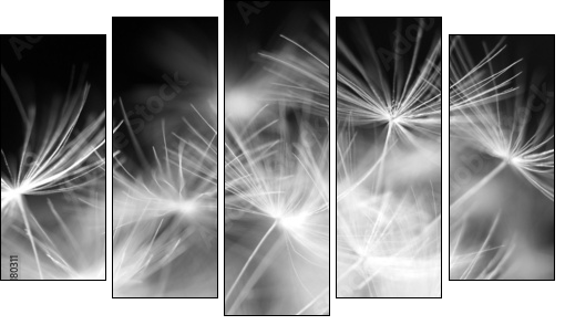 Macro beauty dandelion - Fünfteiliges Leinwandbild, Pentaptychon