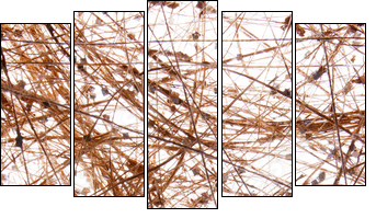sisal background - Fünfteiliges Leinwandbild, Pentaptychon