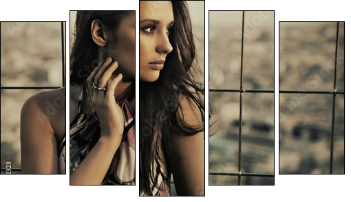 beauty posing over urban background - Fünfteiliges Leinwandbild, Pentaptychon