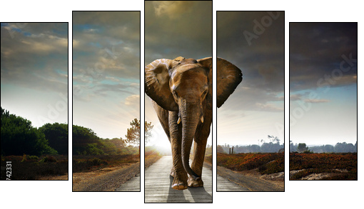 Walking Elephant - Fünfteiliges Leinwandbild, Pentaptychon