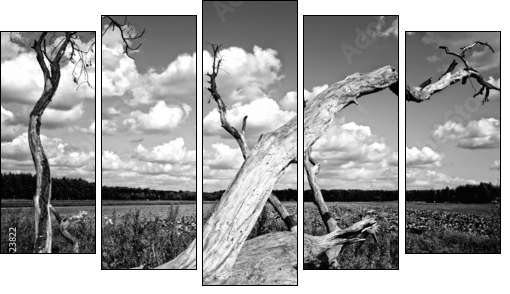 Drzewo - Fünfteiliges Leinwandbild, Pentaptychon