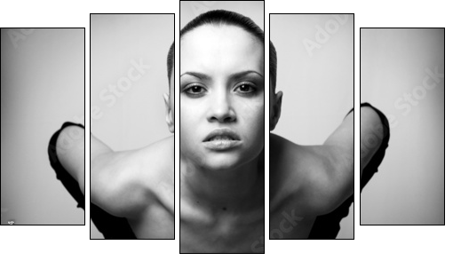portrait of beauty. sexy fashion girl. - Fünfteiliges Leinwandbild, Pentaptychon