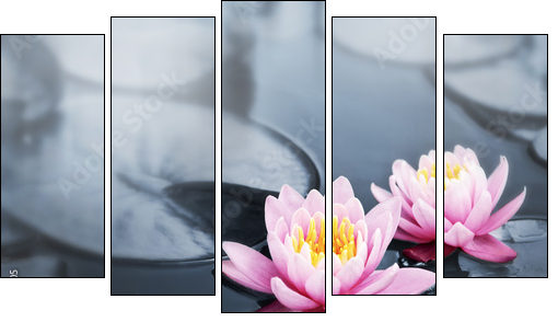 Lotus blossoms - Fünfteiliges Leinwandbild, Pentaptychon