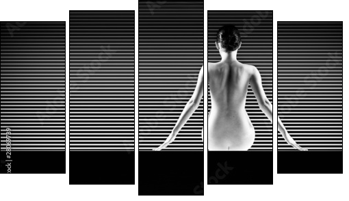 black and white artistic nude; a back silhouette shot on striped - Fünfteiliges Leinwandbild, Pentaptychon