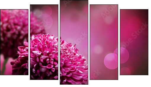 Dahlia Autumn flower design. With copy-space - Fünfteiliges Leinwandbild, Pentaptychon