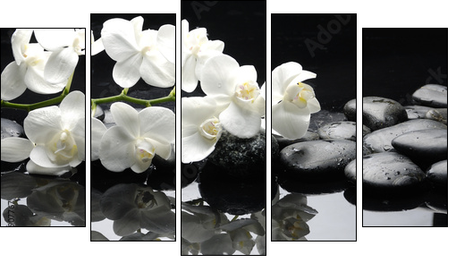 Close up white orchid with stone water drops - Fünfteiliges Leinwandbild, Pentaptychon