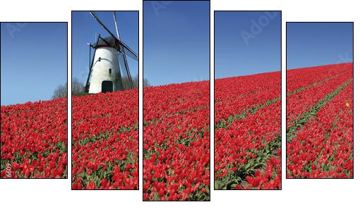 dutch mill and red tulips - Fünfteiliges Leinwandbild, Pentaptychon