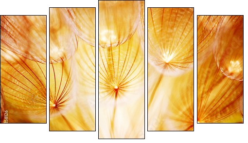 Soft dandelion flower - Fünfteiliges Leinwandbild, Pentaptychon