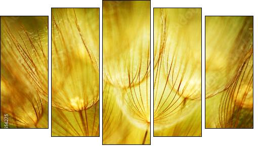 Soft dandelion flower - Fünfteiliges Leinwandbild, Pentaptychon