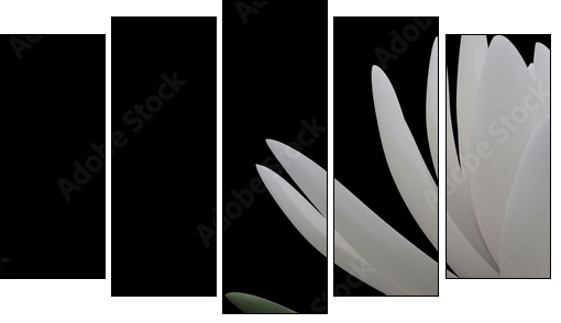 3d lotus - Fünfteiliges Leinwandbild, Pentaptychon