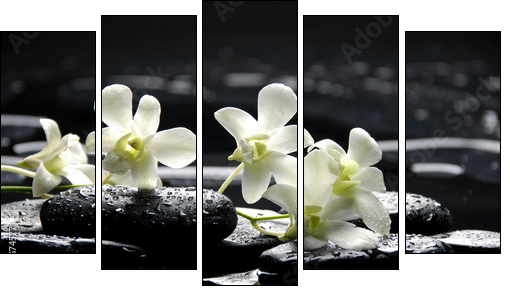 Zen stones and white orchids with reflection - Fünfteiliges Leinwandbild, Pentaptychon