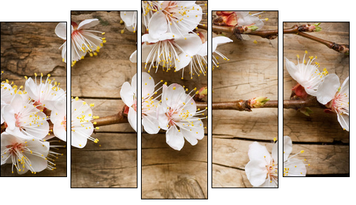 Wood background with spring blossom - Fünfteiliges Leinwandbild, Pentaptychon