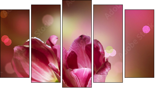 Flowers. Anniversary Card Design - Fünfteiliges Leinwandbild, Pentaptychon