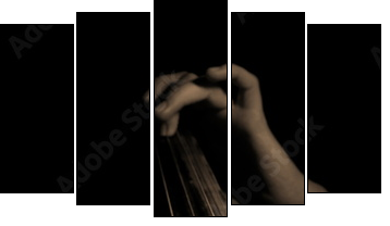 Musician playing contrabass - Fünfteiliges Leinwandbild, Pentaptychon
