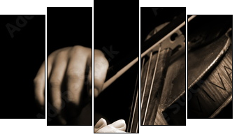 Musician playing violin isolated on black - Fünfteiliges Leinwandbild, Pentaptychon