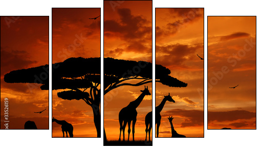 herd of giraffes in the setting sun - Fünfteiliges Leinwandbild, Pentaptychon