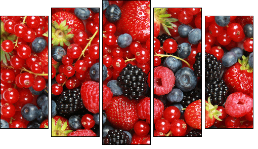 Beeren - Fünfteiliges Leinwandbild, Pentaptychon