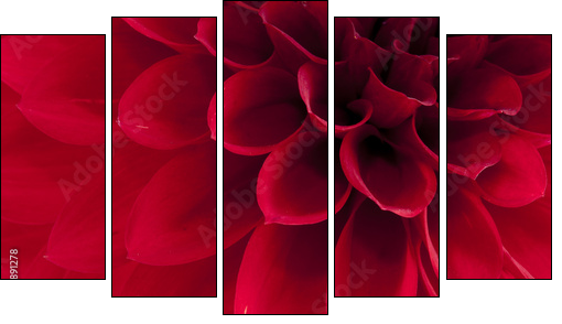 Dahlia - Fünfteiliges Leinwandbild, Pentaptychon
