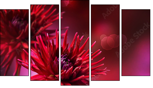 Dahlia Autumn flower design - Fünfteiliges Leinwandbild, Pentaptychon