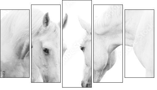 white horses - Fünfteiliges Leinwandbild, Pentaptychon