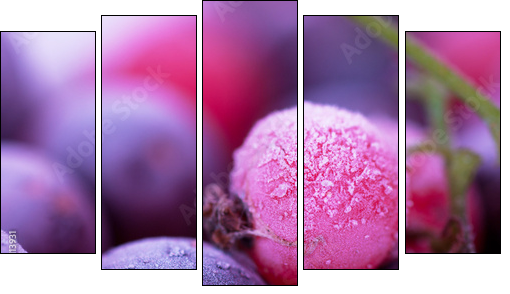 Frozen berries - Fünfteiliges Leinwandbild, Pentaptychon