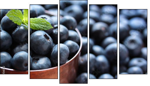 Blueberries - Fünfteiliges Leinwandbild, Pentaptychon