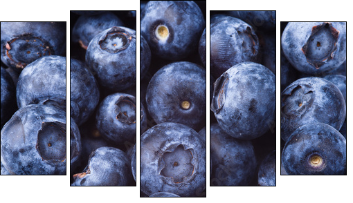 many blueberries - Fünfteiliges Leinwandbild, Pentaptychon