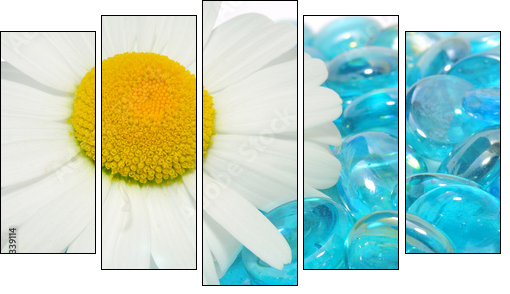 Daisy Flowers on Blue Glass Stones - Fünfteiliges Leinwandbild, Pentaptychon