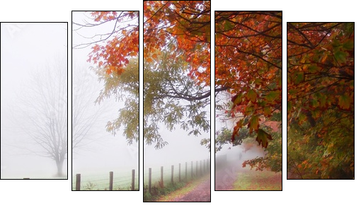 misty autumn morning - Fünfteiliges Leinwandbild, Pentaptychon