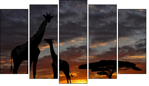 giraffes in the sunset - Fünfteiliges Leinwandbild, Pentaptychon