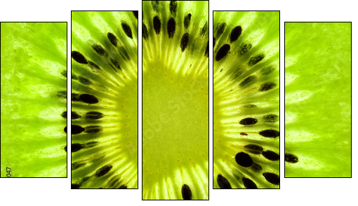 Fresh Kiwi background / SuperMacro / back lit - Fünfteiliges Leinwandbild, Pentaptychon
