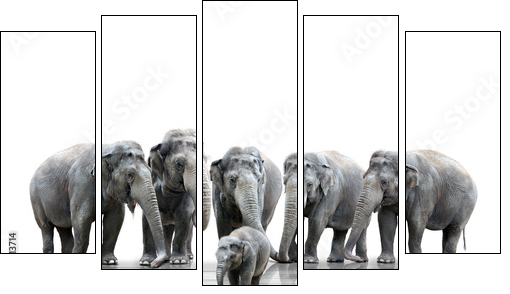 Elefantenherde - Fünfteiliges Leinwandbild, Pentaptychon