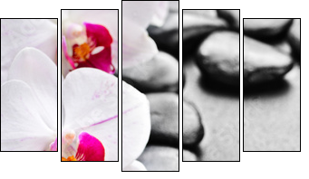 orchid - Fünfteiliges Leinwandbild, Pentaptychon