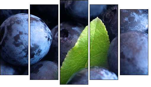 Macro shot of wet fresh blueberry - Fünfteiliges Leinwandbild, Pentaptychon