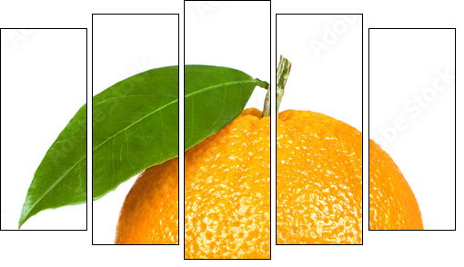 Ripe orange isolated on white background - Fünfteiliges Leinwandbild, Pentaptychon