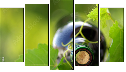 Bottle of wine between grapevine leves. - Fünfteiliges Leinwandbild, Pentaptychon