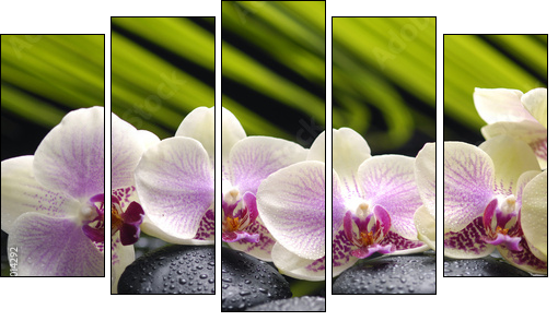 Set of branch orchid with stones- palm leaf background - Fünfteiliges Leinwandbild, Pentaptychon