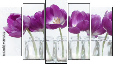 Tulpen - Fünfteiliges Leinwandbild, Pentaptychon