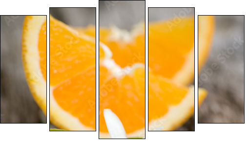 OrangenblÃ¼te - Fünfteiliges Leinwandbild, Pentaptychon