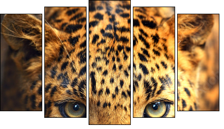 Leopard portrait - Fünfteiliges Leinwandbild, Pentaptychon