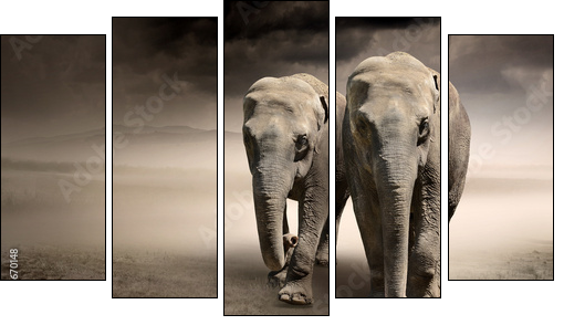Pair of elephants in motion - Fünfteiliges Leinwandbild, Pentaptychon