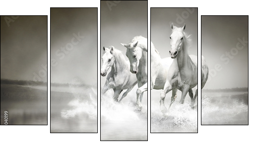 Herd of white horses running through water - Fünfteiliges Leinwandbild, Pentaptychon