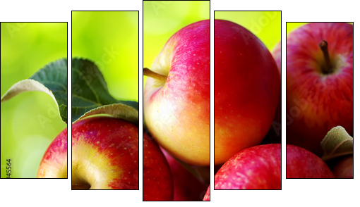 ripe red apples on table - Fünfteiliges Leinwandbild, Pentaptychon