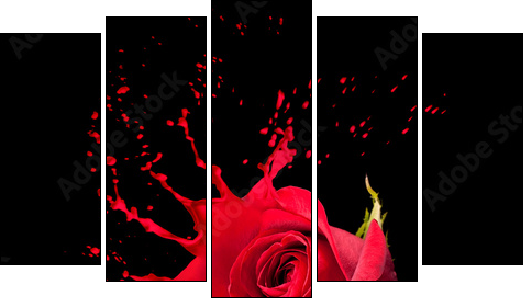 red rose splashes - Fünfteiliges Leinwandbild, Pentaptychon