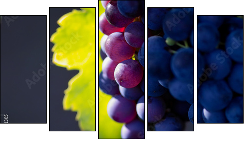 glowing dark wine grapes - Fünfteiliges Leinwandbild, Pentaptychon