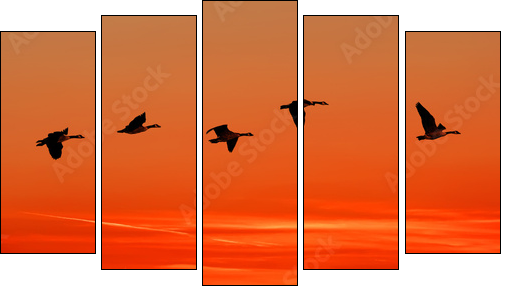 To home - Fünfteiliges Leinwandbild, Pentaptychon